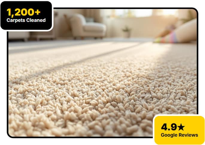 Carpet Cleaning Services Tampa