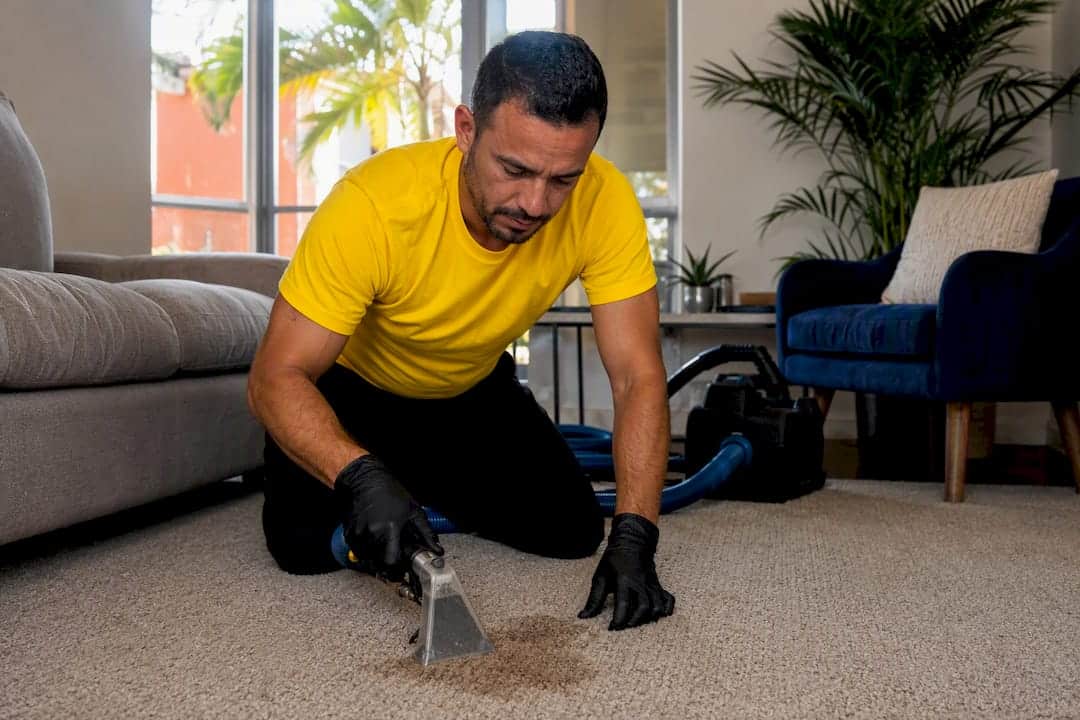 Cleaner extracting carpet stain in apartment
